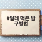 벌레 먹은 밤 구별법
