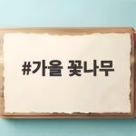 가을 꽃나무