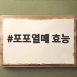 포포열매 효능