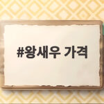 왕새우 가격 제철 시세와 구매 팁 왕새우 가격