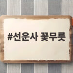 선운사 꽃무릇