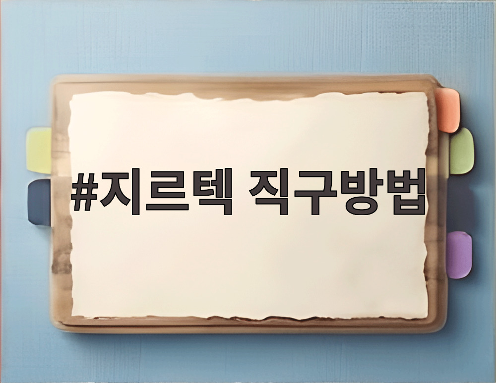 지르텍 직구방법