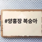 양홍장 복숭아 마지막 시즌 놓치지 마세요 양홍장 복숭아