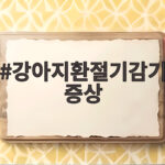 강아지환절기감기증상