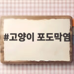 고양이 포도막염
