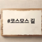 코스모스 길