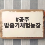 공주 밤줍기체험농장