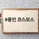 용인 코스모스