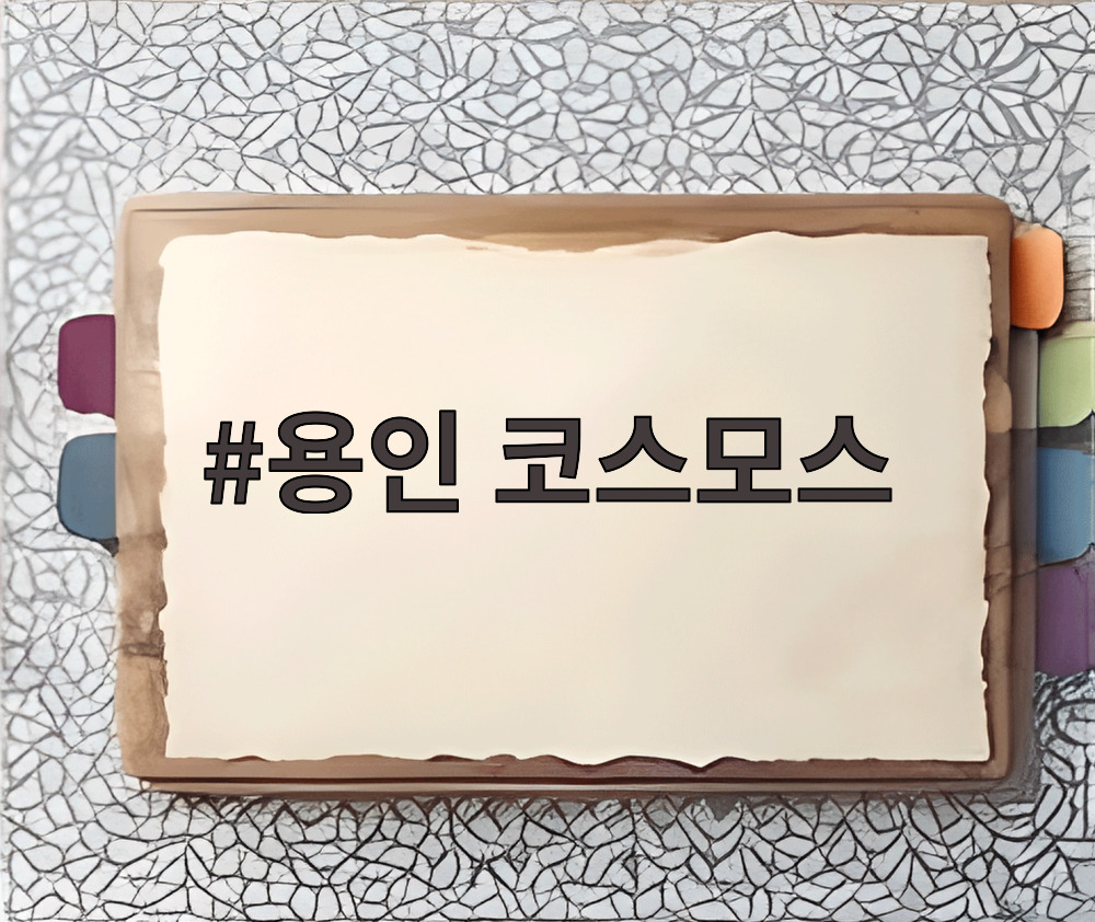 용인 코스모스
