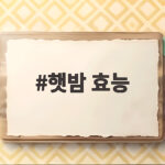 9월 햇밤 효능 제철 보관 먹는법 햇밤 효능
