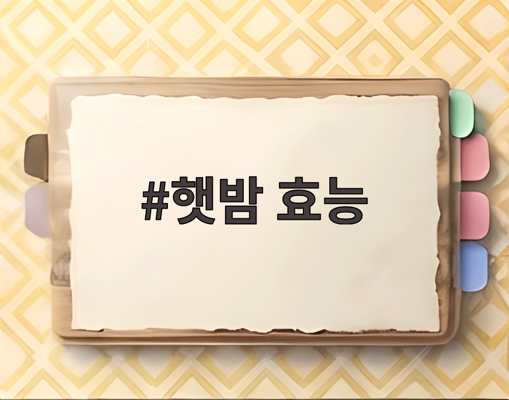 햇밤 효능