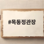 목동정관장 남부법원점 선물 구매 후기 목동정관장