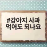 강아지 사과 먹어도 되나요 안전한 급여법 강아지 사과 먹어도 되나요