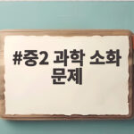 중2 과학 소화 문제
