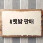 햇밤 판매