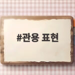 관용 표현