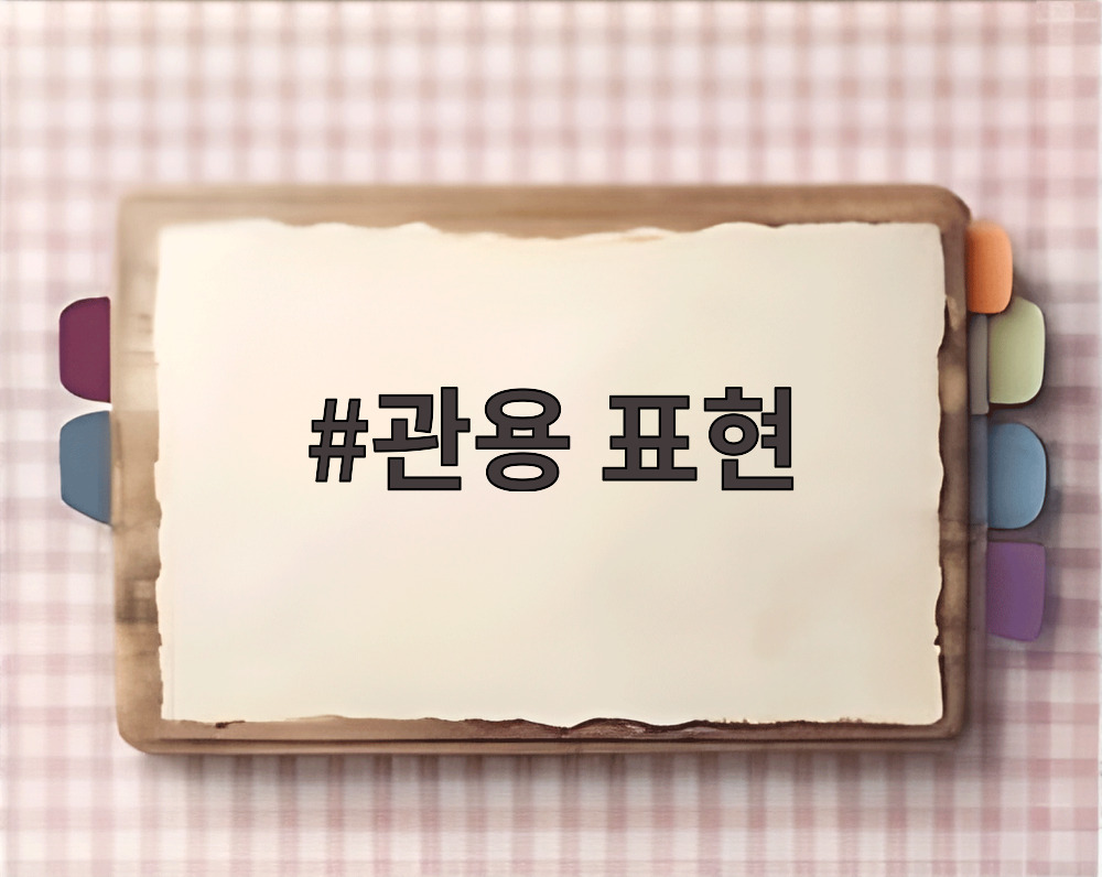 관용 표현
