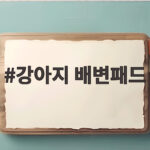 강아지 배변패드
