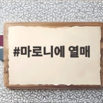 마로니에 열매