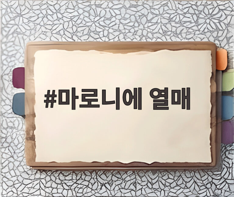 마로니에 열매