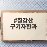 칠갑산 구기자한과 맛과 효능 그리고 구매 방법까지 확인하세요 칠갑산 구기자한과