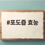 포도즙 효능