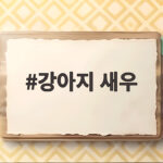 강아지 새우