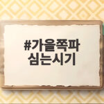 가을쪽파 심는시기 9월 텃밭에 심어 김장 걱정 끝내기 가을쪽파 심는시기