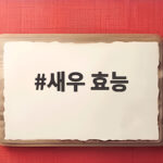 새우 효능
