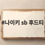 나이키 sb 후드티