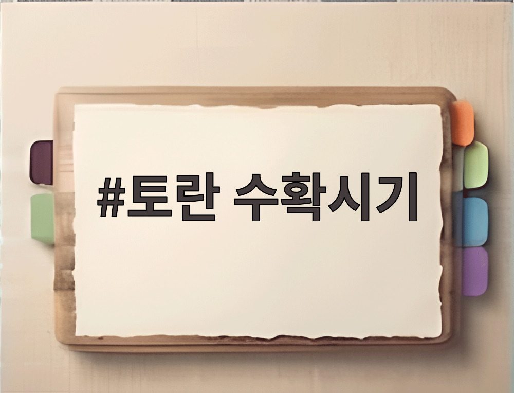토란 수확시기