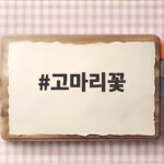 고마리꽃 가을 산책길에서 만나는 작고 고마운 야생화 이야기 고마리꽃