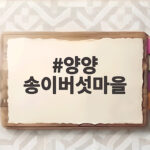 양양 송이버섯마을에서 송이버섯전골 맛보고 몸보신 힐링 양양 송이버섯마을