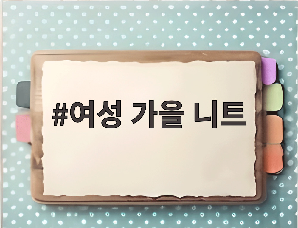 여성 가을 니트