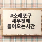 소래포구 새우젓배 들어오는시간