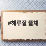 해루질 뜰채