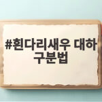 흰다리새우 대하 구분법