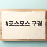 코스모스 구경