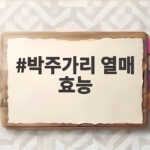 박주가리 열매 효능