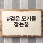 검은 모기를 잡는꿈