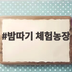 밤따기 체험농장