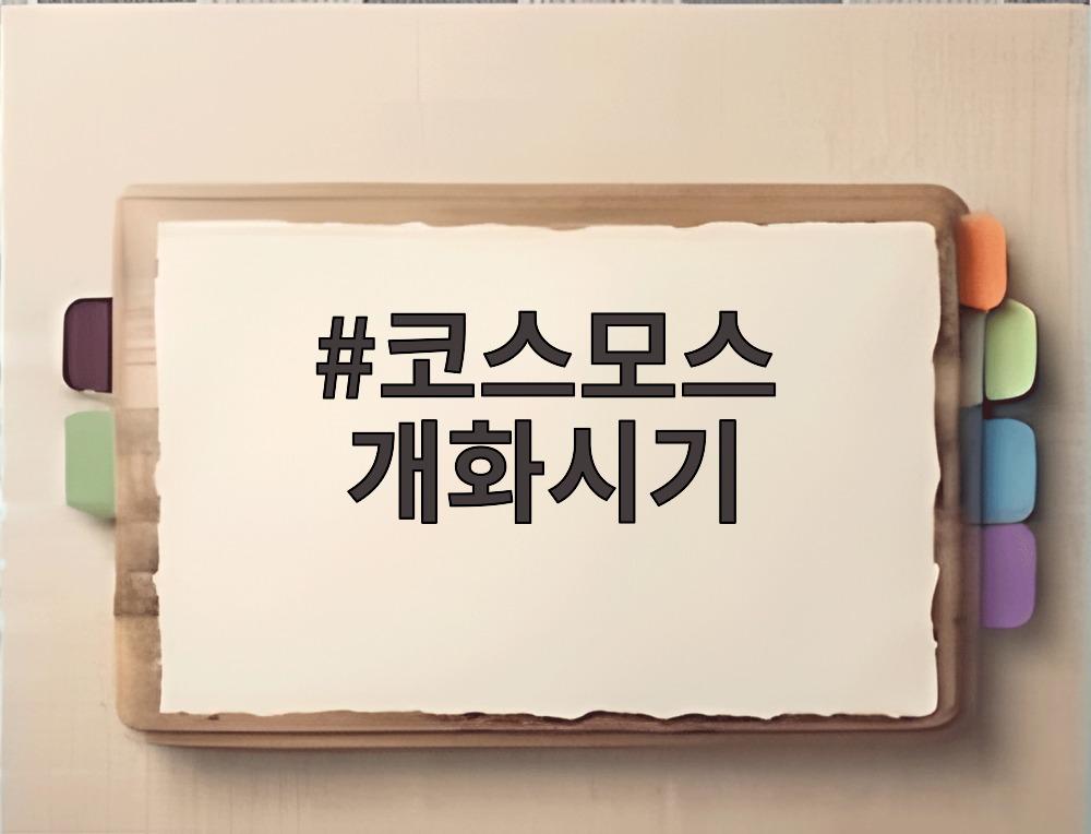 코스모스 개화시기