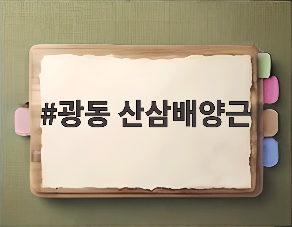 광동 산삼배양근