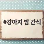 강아지 밤 간식 안전하게 주는 방법과 급여량 총정리 강아지 밤 간식