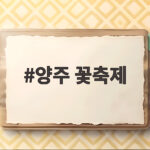 양주 꽃축제