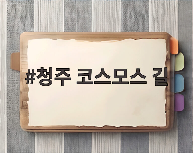 청주 코스모스 길