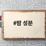 밤 성분