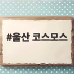 울산 코스모스 명소 다섯 곳 가을 꽃길 따라 떠나볼까 울산 코스모스
