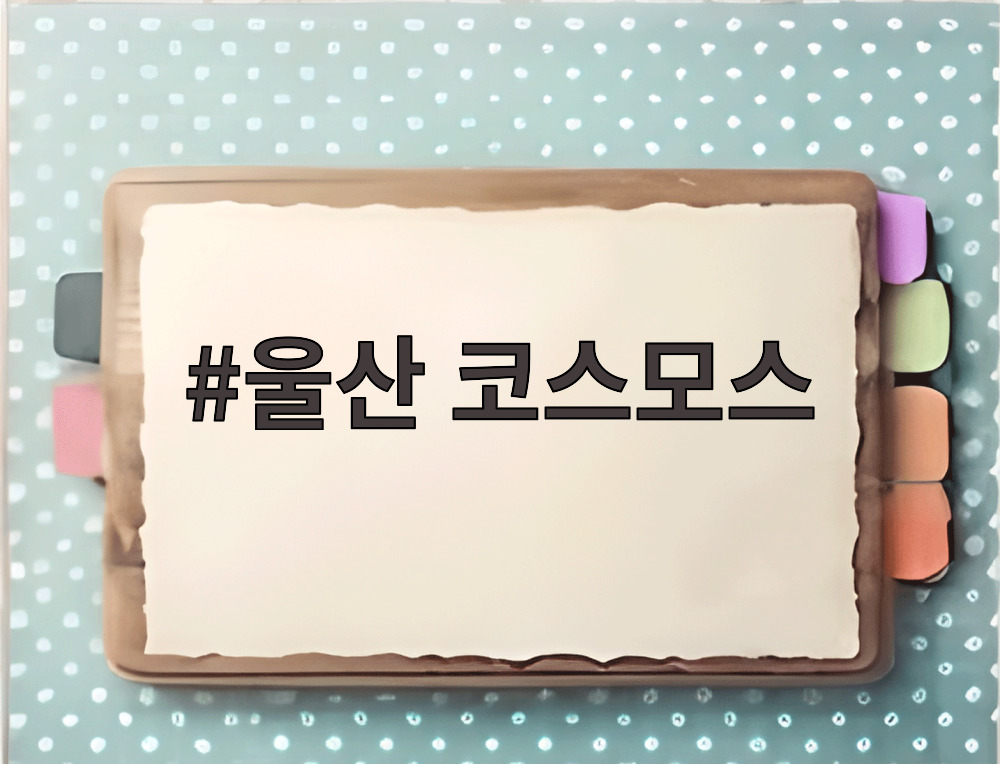 울산 코스모스
