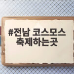 전남 코스모스 축제하는곳